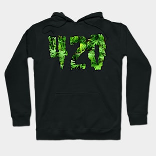 420 Hoodie